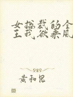 女总裁的全能兵王我欲乘风