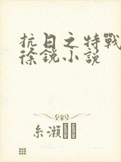 抗日之特战兵王徐锐小说