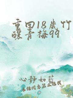 重回18岁竹马酿青梅99