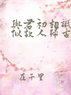 与君初相识,恰似故人归古诗