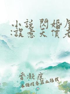 小说 闪婚厚爱:误惹天价老公