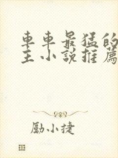 车车最猛的双男主小说推荐