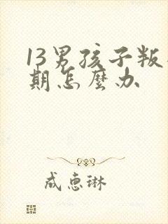 13男孩子叛逆期怎么办