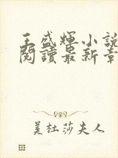 王盛辉小说免费阅读最新章节更新