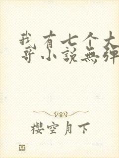 我有七个大佬哥哥小说无弹窗