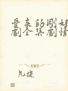 爱来的刚好电视剧全集剧情介绍