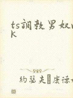 ts调教男奴vk