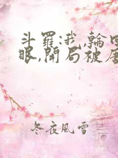 斗罗:我,轮回眼,开局被唐昊追杀