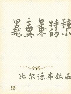 男主是特种兵穿越异界的小说