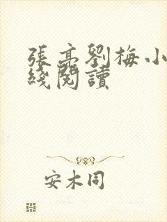 张亮刘梅小说在线阅读