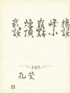 武炼巅峰杨开小说顶点小说