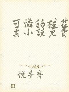 可怜的校花高筱柔小说免费阅读