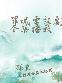 罪城电视剧免费全集播放