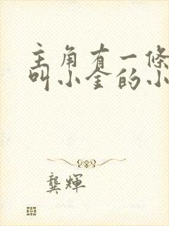 主角有一条小蛇叫小金的小说