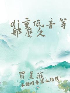 dj重低音等你那么久