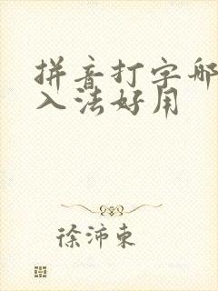 拼音打字哪个输入法好用