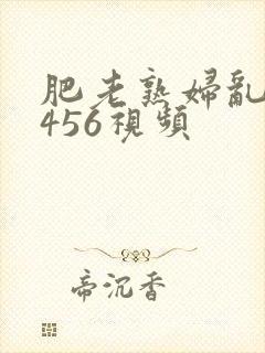 肥老熟妇乱子伦456视频