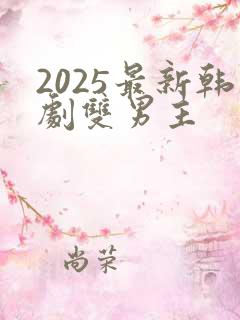 2025最新韩剧双男主