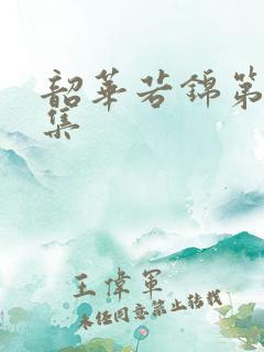 韶华若锦第12集