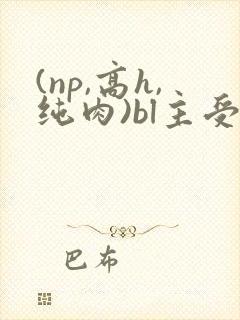 (np,高h,纯肉)bl主受