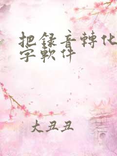 把录音转化成文字软件