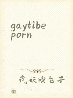 gaytibeporn