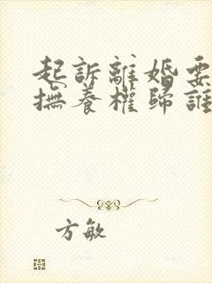 起诉离婚要小孩抚养权归谁