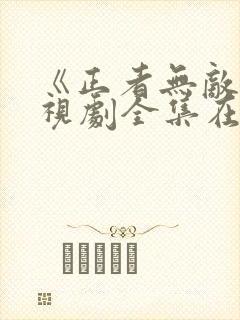 《正者无敌》电视剧全集在线观看