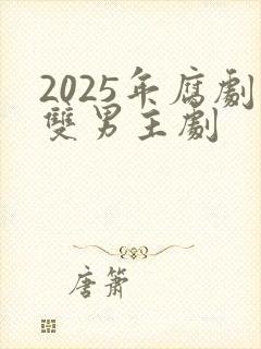 2025年腐剧双男主剧