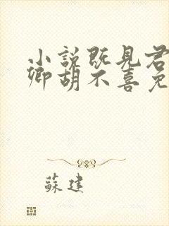 小说既见君子,卿胡不喜免费看全文