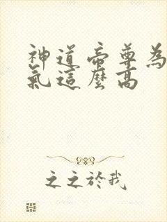 神道帝尊为啥人气这么高