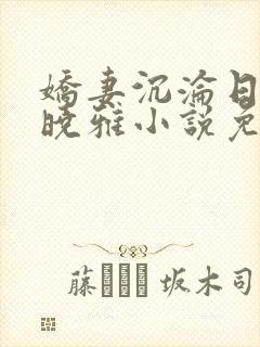 娇妻沉沦日记许晓雅小说免费阅读