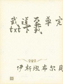 武道至尊完整版txt下载
