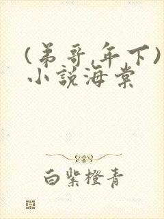 (弟哥,年下)小说海棠