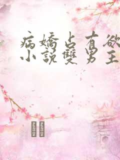 病娇占有欲强的小说双男主