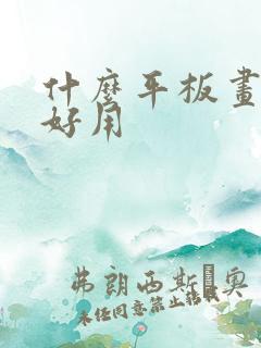 什么平板画画最好用