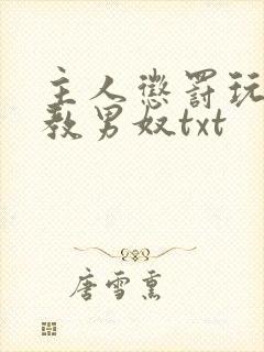 主人惩罚玩弄调教男奴txt