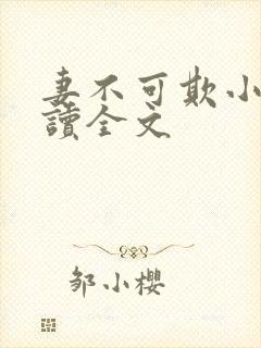 妻不可欺小说阅读全文