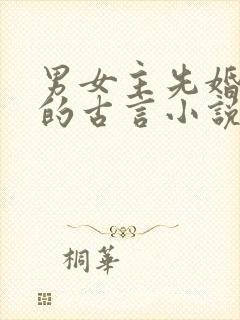 男女主先婚后爱的古言小说