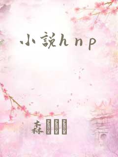 小说h n p