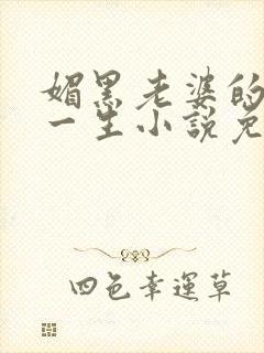 媚黑老婆的下贱一生小说免费阅读