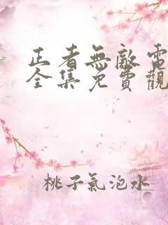 正者无敌电视剧全集免费观看