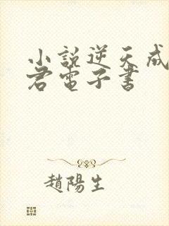 小说逆天成神贤君电子书