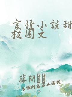 言情小说甜宠文校园文