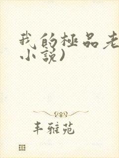 我的极品老婆(小说)