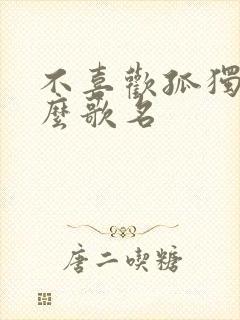 不喜欢孤独是什么歌名