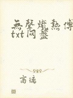 无声炽热傅蔺征txt网盘