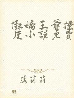 傲娇王爷撩妻无度小说免费在线阅读