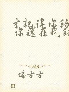 才记得你的模样 你还在我的心上