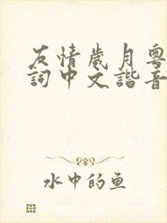 友情岁月粤语歌词中文谐音完整